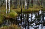 _MG_4700